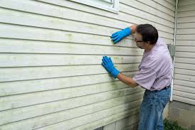 Best Insulated Siding Installation  in Cambridge, MN